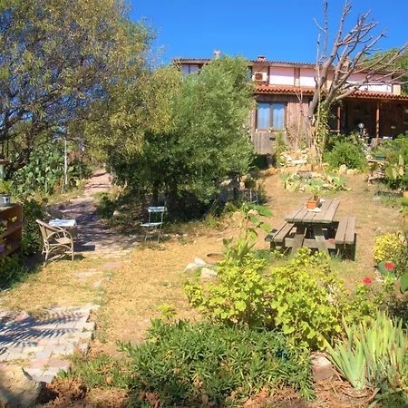 Gueltekin Kir Evi